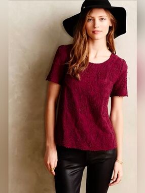 Anthropologie Vanessa Virginia Wine Embroidered Short Sleeve Blouse Size M